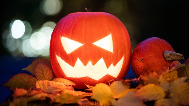 Gemeine Hexen, nägelgespickte Zombie-Köpfe, wandelnde Skelette - an Halloween ist für die Amerikaner das, was für uns Fasching ist. | Bild: picture-alliance/dpa
