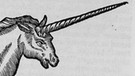 Holschnitt eines Einhorns aus dem Jahr 1669. | Bild: picture-alliance/dpa
