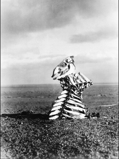 Wegweiser aus Knochen in der Wüste Gobi. Aufgenommen von Entdecker Sven Hedin, 1934. | Bild: picture alliance/CPA Media