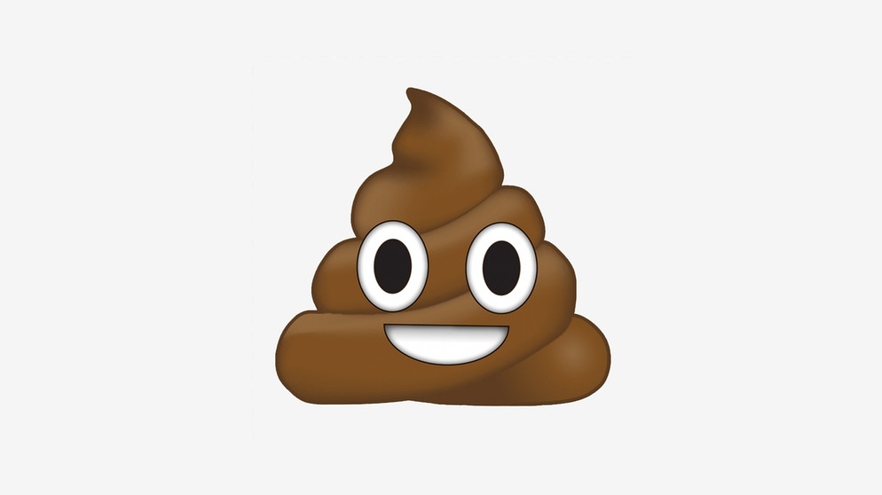 Emoji mit dem Namen Pile of Poo | Bild: BR