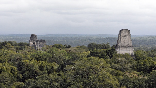 Maya-Stadt Tikal | Bild: picture-alliance/dpa