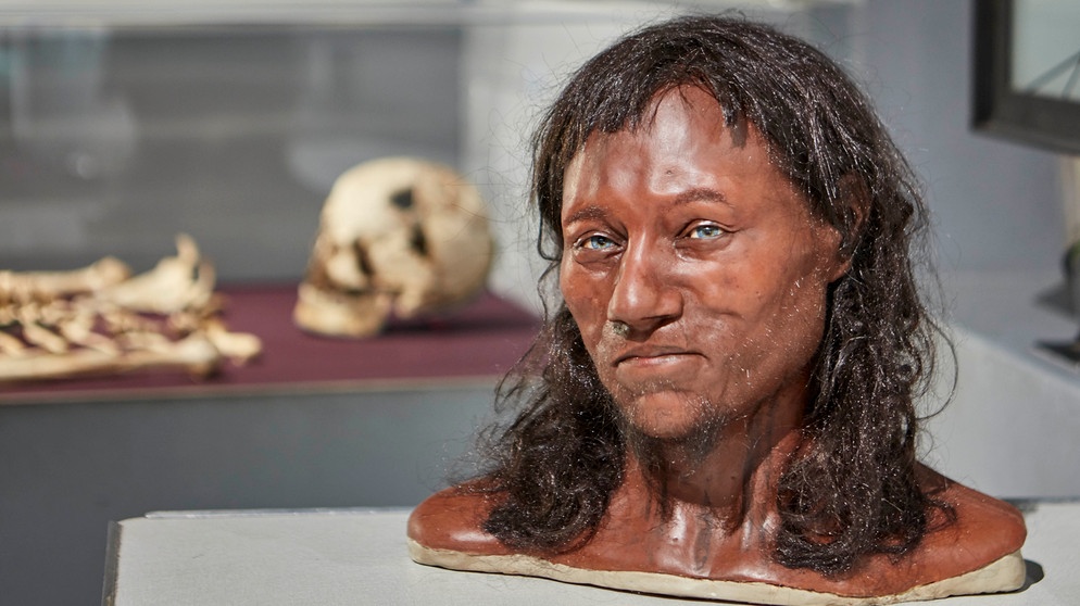 Das Natural History Museum hat das Gesicht vom „Cheddar Man“ erworben. Der Cheddar-Mann lebte vor etwa 10.000 Jahren und ist das älteste fast vollständige Skelett unserer Spezies, des Homo sapiens, das jemals in Großbritannien gefunden wurde.  | Bild: picture alliance / Photoshot | -