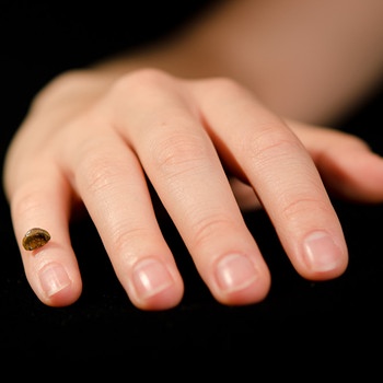 Die Aufnahme zeigt eine Replik von einem Fingerknochenfragment eines Denisova-Menschen auf einer menschlichen Hand. | Bild: MPI für evolutionäre Anthropologie / picture-alliance/dpa