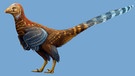 Jianianhualong tengi - Neuer Dinosaurier mit Federn in China entdeckt  | Bild: dpa-Bildfunk