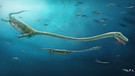 Langhals mit Babybauch: Fossil schwangeren Meeresreptils entdeckt | Bild: Dinghua Yang & Jun Liu/dpa-Bildfunk