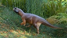 Dinosaurier Psittacosaurus | Bild: dpa-Bildfunk; Jakob Vinther, University of Bristol and Bob Nicholls (Paleocreations.com)