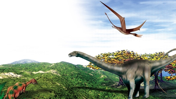 Tyrannosaurier Raptor xl 3D Flugsaurier Lesezeichen: Saurier Dinosaurier 