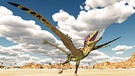 Eine computergenerierte 3D-Illustration von dem Flugsaurier Peteinosaurus. | Bild: picture alliance / Panther Media | Michael Rosskothen
