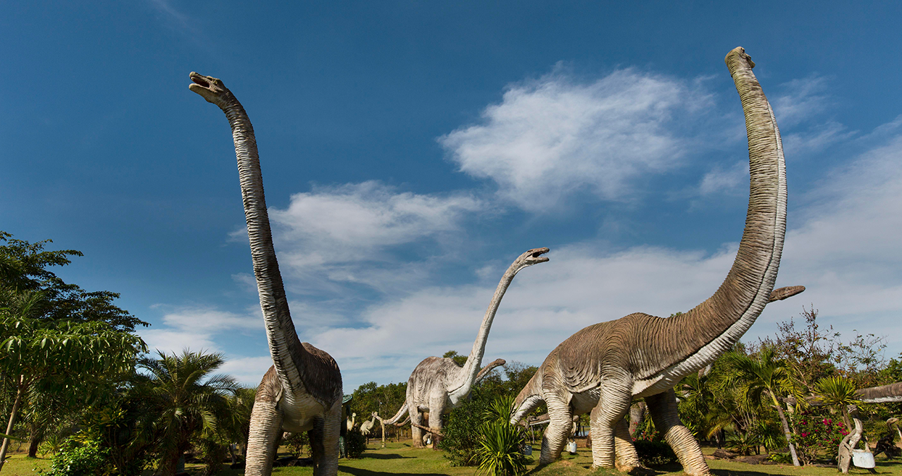 Lebensgroße Modelle von Sauropoden stehen in einem Dinosaurierpark in Nordost-Thailand. Die größten bislang bekannten Dinosaurier waren Pflanzenfresser. Dinosaurier bedeutet "schreckliche Echsen". Sie lebten an Land und waren nicht flugfähig. Zu den bislang größten Dinosauriern gehört nicht etwa der fleischfressende Raubsaurier Tyrannosaurus Rex, sondern der Patagotitan und der Argentinosaurus. Beide sind pflanzenfressende Sauropoden. Zur Obergruppe der Saurier zählen neben Dinosauriern auch Flugsaurier und Wassersaurier. | Bild: picture-alliance/dpa