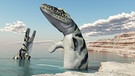 Vor rund 70 Millionen Jahren beherrscht ein gewaltiger Raubsaurier die Ozeane: Mosasaurus. Der riesige Mosasaurus bewegte sich mit seinem messerscharfen Gebiss nahezu konkurrenzlos durch die Ozeane. Der gewaltige Jäger stand an der Spitze der Nahrungskette in den Meeren. (Symbolbild) | Bild: picture-alliance/dpa