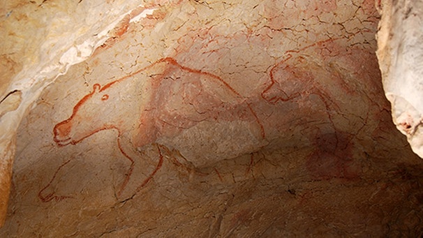 Höhlenmalerei in der Grotte Chauvret-Pont d'Arc in Südfrankreich. Die 1994 entdeckte Höhle mit ihren hunderten prähistorischen Wandmalereien zählt zu den wichtigsten archäologischen Stätten Europas.  | Bild: dpa-Bildfunk