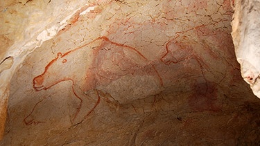 Höhlenmalerei in der Grotte Chauvret-Pont d'Arc in Südfrankreich. Die 1994 entdeckte Höhle mit ihren hunderten prähistorischen Wandmalereien zählt zu den wichtigsten archäologischen Stätten Europas.  | Bild: dpa-Bildfunk