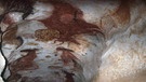 Höhlenmalerei von Lascaux in Frankreich. Prähistorische Zeichnungen an den Felswänden von Höhlen und Grotten zählen zu den ältesten Kunstwerken der Menschheit. Für Archäologie, Geschichte und Kunst sind Höhlenmalereien daher enorm wichtige Funde. | Bild: picture-alliance/dpa