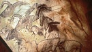Höhlenmalerei in der Grotte Chauvet-Pont d'Arc. Prähistorische Zeichnungen an den Felswänden von Höhlen und Grotten zählen zu den ältesten Kunstwerken der Menschheit. Für Archäologie, Geschichte und Kunst sind Höhlenmalereien daher enorm wichtige Funde. | Bild: picture-alliance/dpa