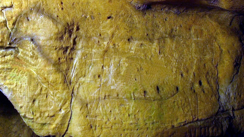 12.000 Jahre alte Wandmalerei in Nottinghamshire. Prähistorische Zeichnungen an den Felswänden von Höhlen und Grotten zählen zu den ältesten Kunstwerken der Menschheit. Für Archäologie, Geschichte und Kunst sind Höhlenmalereien daher enorm wichtige Funde. | Bild: picture-alliance/dpa