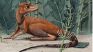 Ein kleines, mit Flaum bedecktes Tier mit langem Schwanz und Krallen. Es sieht einem Eichhörnchen nicht unähnlich, gilt aber als Vorfahre der Dinosaurier. | Bild: Alex Boersma