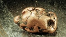 Kupfer aus der Steinzeit | Bild: picture alliance / WILDLIFE