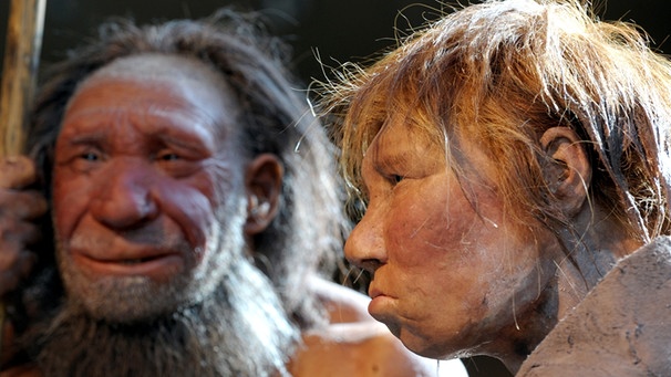 Nachbildung eines Neandertaler-Paares | Bild: picture-alliance/dpa
