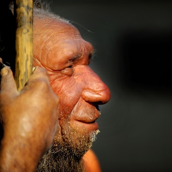 So könnte der Neandertal ausgesehen haben | Bild: picture-alliance/dpa