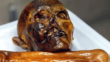 Ötzi. Neue Analysen von Ötzis Erbgut verraten, wie Ötzi ausgesehen hat. Hatte er dunklere Haut und weniger Haare als bisher angenommen? Die Eismumie hatte zudem gebrochene Rippen und Narben: Wurde er vor 5.300 Jahren ermordet? | Bild: picture-alliance/dpa