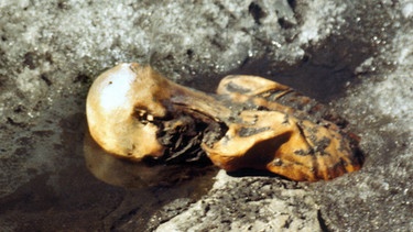 Ötzi | Bild: picture-alliance/dpa