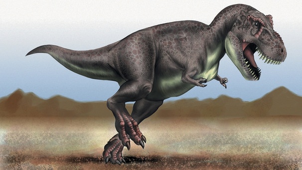 Zeichnung eines Tyrannosaurus rex. Warum starb der Dinosaurier wie alle anderen Saurier-Arten aus? Warum überlebte der Homo sapiens, aber nicht der Neandertaler? Und was verraten uns Fossilien über das frühe Leben auf der Erde? Geschichen aus der Urzeit. | Bild: picture-alliance/dpa