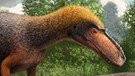 Rekonstruktion des Dinos "Suskityrannus hazelae" (links) aus der Spätkreide im heutigen New Mexico. Forscher haben in den USA Überreste einer bislang unbekannten kleinen Raubsaurier-Art entdeckt. Der "Suskityrannus hazelae" lebte vor rund 92 Millionen Jahren und war ein früher Verwandter von Tyrannosaurus Rex, wie US-Forscher im Fachblatt "Nature Ecology and Evolution" schreiben. Skelettteile von gleich zwei Individuen der neuen Art waren im Zuni-Becken im US-Bundesstaat New Mexico gefunden worden. | Bild: Andrey Atuchin/dpa