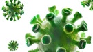 Grün eingefärbte Coronaviren.  | Bild: picture alliance / CHROMORANGE | Christian Ohde