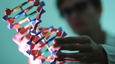 DNA | Bild: picture-alliance/dpa