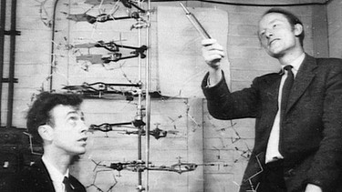 James Watson, Francis Crick und die Molekulargenetik | Bild: BR