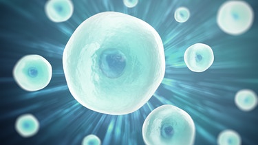 Eizelle und Spermien. Wir erklären euch, wie Social Freezing funktioniert. | Bild: colourbox.com