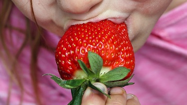 Mädchen isst Erdbeeren - die Frucht hat wie andere Lebensmittel typische Schlüsselaromastoffe | Bild: picture-alliance/dpa