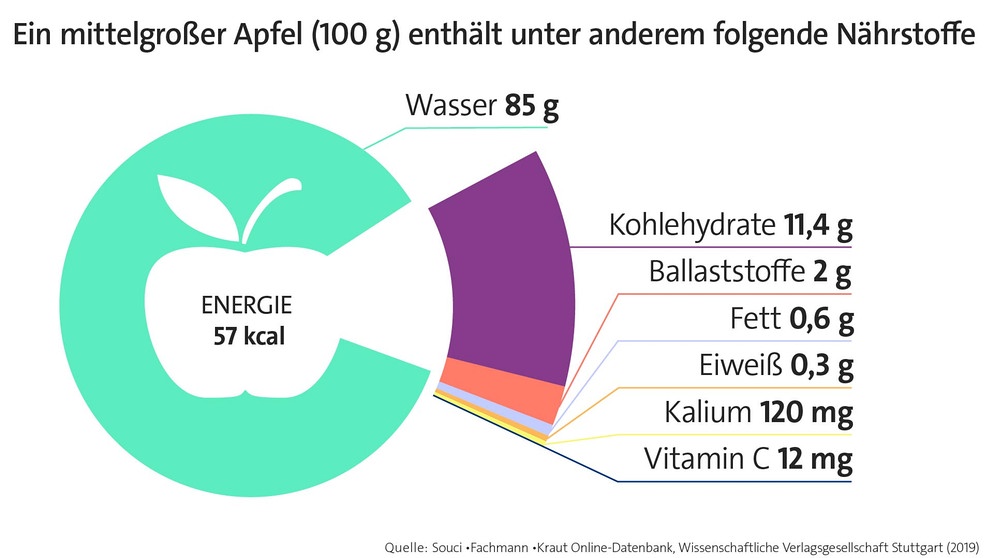 Infografik: Nährstoffgehalt eines Apfels in Gramm. Äpfel sind gesund, kalorienarm und lecker. Am 11. Januar ist Tag des deutschen Apfels. Welche gesunden Inhaltsstoffe in der beliebtesten Frucht Deutschlands stecken, erfahrt ihr hier. Und wir erklären euch, warum der Apfel eine Symbolkraft hat.  | Bild: BR