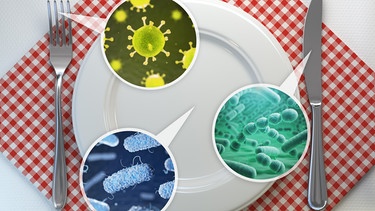 Ein Teller mit Besteck und drei Petrischalen mit verschiedenen Erregern wie zum Beispiel  Campylobacter. | Bild: picture alliance / Zoonar | Maksym Yemelyanov