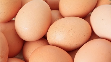Braune Eier. Zu Ostern gibt es Ostereier im Osternest. Wir erklären, was in einem Ei steckt. | Bild: colourbox.com