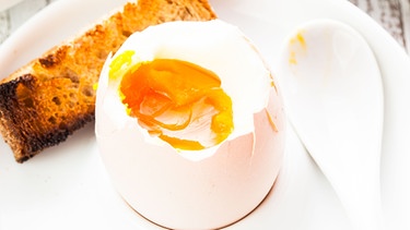 Ei mit Eierlöffel. Eier gibt es nicht nur zum Frühstück. Zu Ostern gibt es Ostereier im Osternest. | Bild: colourbox.com