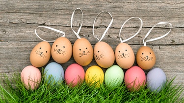 Gekochte Eier mit Osterhasen-Deko. Zu Ostern gibt es gekochte Ostereier im Osternest. | Bild: colourbox.com