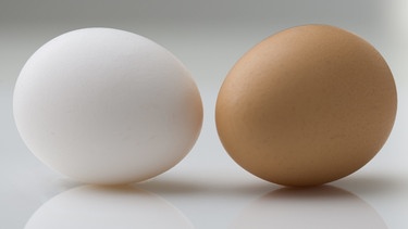 Das Ei ist keine runde Sache. | Bild: picture alliance/Bildagentur-online