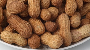 Erdnüsse sind für manche Menschen stark allergieauslösend. Eine Therapie gab es bislang nicht. | Bild: picture-alliance/dpa 