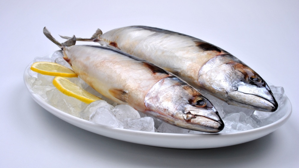 Fische auf Teller mit Eis und Zitronenscheibe | Bild: colourbox.com