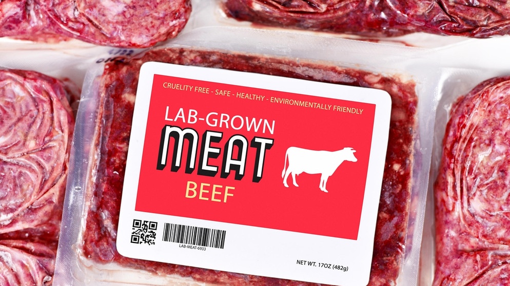 Die massive Produktion von Rindfleisch schadet der Umwelt. Weltweit experimentieren Wissenschaftler damit, Fleisch künstlich zu erzeugen, unter dem label "Cultured Meat" gibt es das mitunter im Supermarkt zu kaufen.  | Bild: picture alliance / Zoonar | Firn