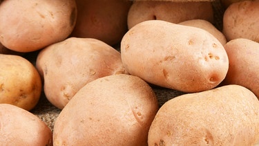 Kartoffeln im Sack. Rund 60 Kilo Erdäpfel landen pro Jahr in unserem Magen. Danach sah es anfangs gar nicht aus: Lange galt die Kartoffel als Hexenpflanze. | Bild: colourbox.com