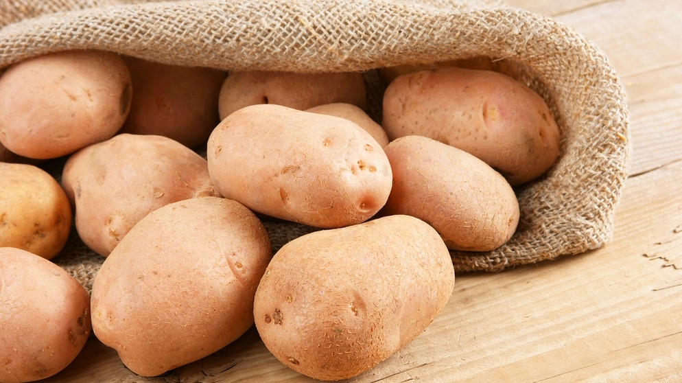 Kartoffeln im Sack. Rund 60 Kilo Erdäpfel landen pro Jahr in unserem Magen. Danach sah es anfangs gar nicht aus: Lange galt die Kartoffel als Hexenpflanze. | Bild: colourbox.com
