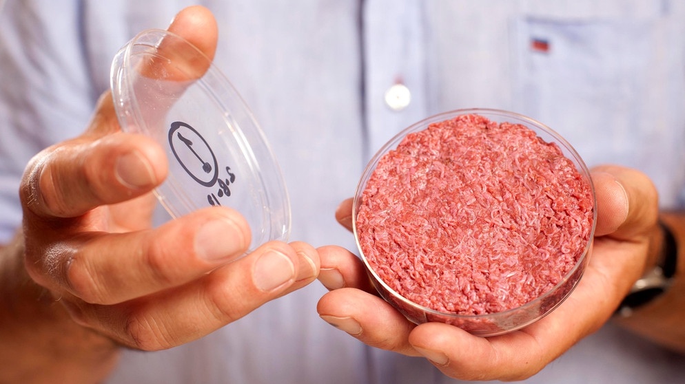 Forscher weltweit versuchen, Fleisch im Labor (cultured meat) zu züchten.  | Bild: picture alliance / AP Photo | David Parry