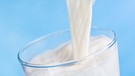 Milch wird in ein Glas gegossen. Jahrzehntelang wurde Kuhmilch gefeiert als Kalziumlieferant und Vitaminspender. Doch ihr schneeweißes Image hat die Milch inzwischen verloren. Ist Milch wirklich so gesund, wie immer behauptet wird? Inzwischen gibt es den Verdacht, dass Milch sogar Krebs verursachen könnte. | Bild: colourbox.com