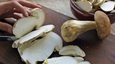 Pilze werden in der Küche in Scheiben geschnitten. Pilze - abgesehen von giftigen Pilzsorten - sind gesund und können zu einer ausgewogenen Ernährung beitragen.  | Bild: colourbox.com