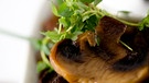 Pilzgericht mit Kräutern auf einem Teller: Aus Pilzen ist schnell was leckeres gekocht. Auch aufwärmen lassen sich Pilzgerichte - wenn sie zuvor richtig gekühlt aufbewahrt wurden. | Bild: picture-alliance/dpa