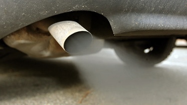 Auspuff eines Autos: Schadstoffe und Düngemittel lassen heimische Pilze seltener werden. | Bild: picture-alliance/dpa