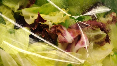 Im fertig abgepackten Salat können Krankheitserreger wie Listerien lauern. | Bild: picture alliance / dpa | Christian Charisius