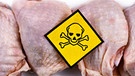 Rohes Hähnchenfleisch kann voller Keime wie Salmonellen sein. | Bild: picture alliance / Zoonar | Firn